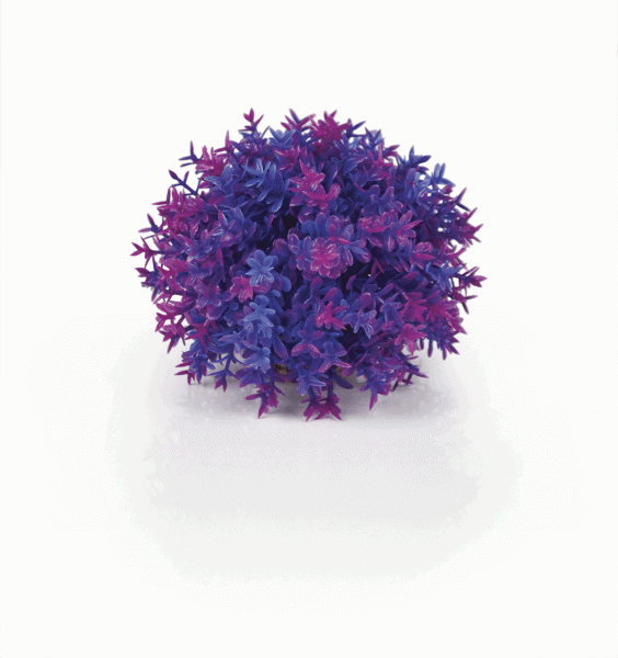 Oase biOrb Blumenball lila